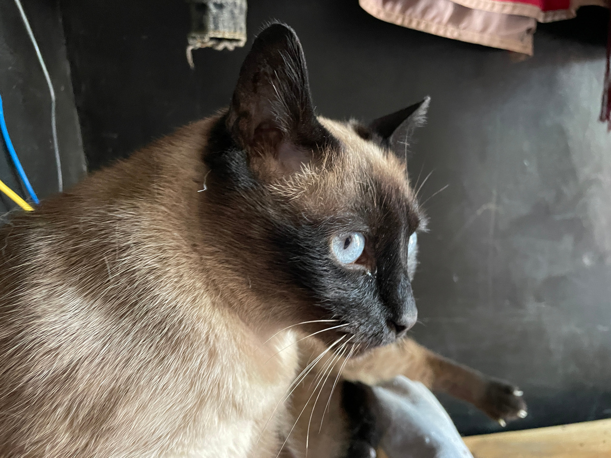 Это Берта примерно месяц назад