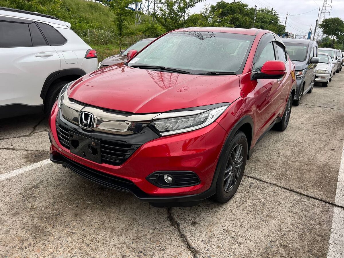 фото внешности листайте