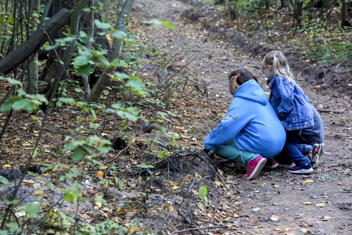 Символом Международного дня пропавших детей является незабудка.  Фото: ФедералПресс / Елена Майорова