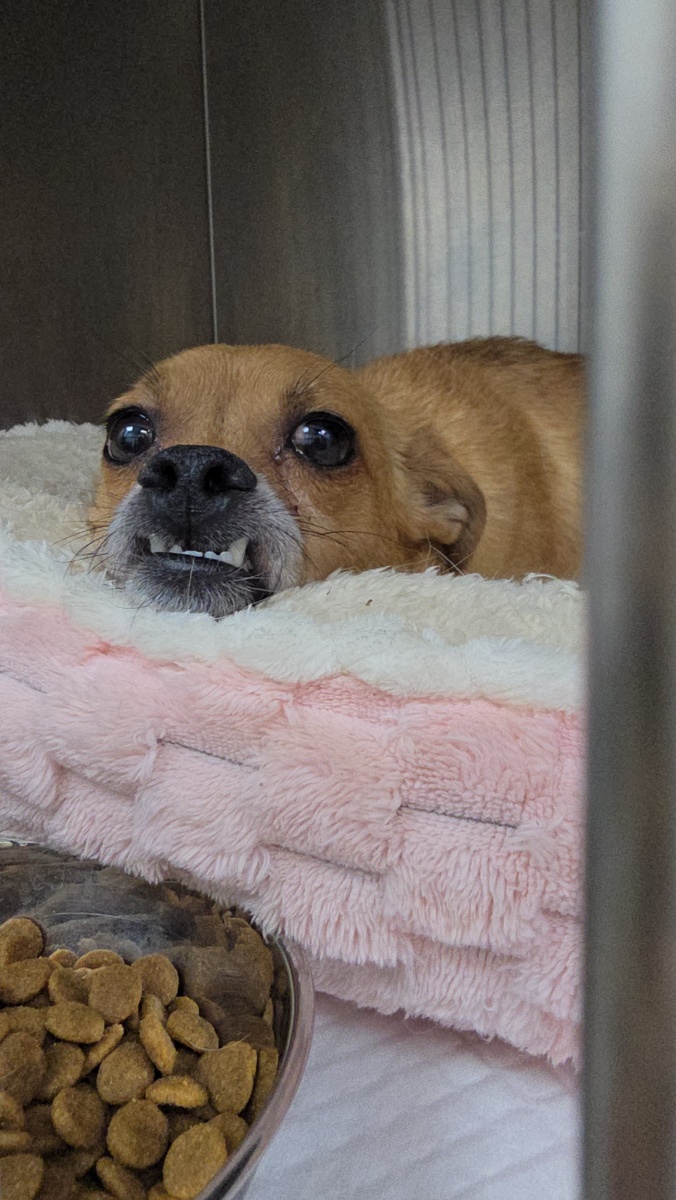 Асечка в клинике после расставания с детками💔