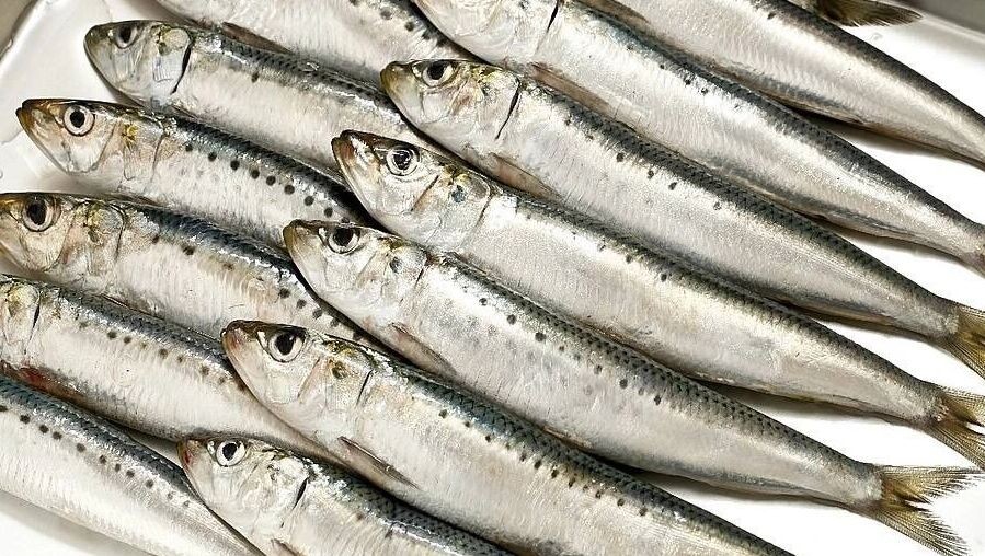     Источник: Росрыболовство