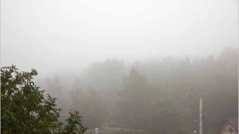     Дождь в Барнауле. Михаил Хаустов