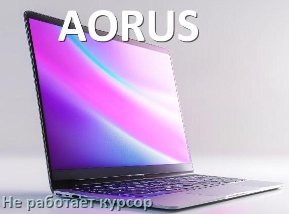 
Что делать если на ноутбуке AORUS пропал и не работает курсор мыши