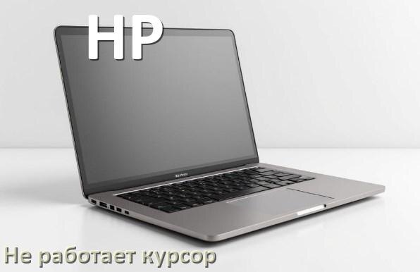 
Что делать если на ноутбуке HP пропал и не работает курсор мыши