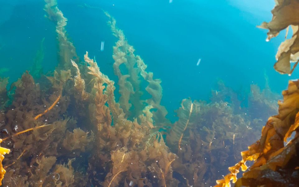 Источник изображения: Личный архив компании