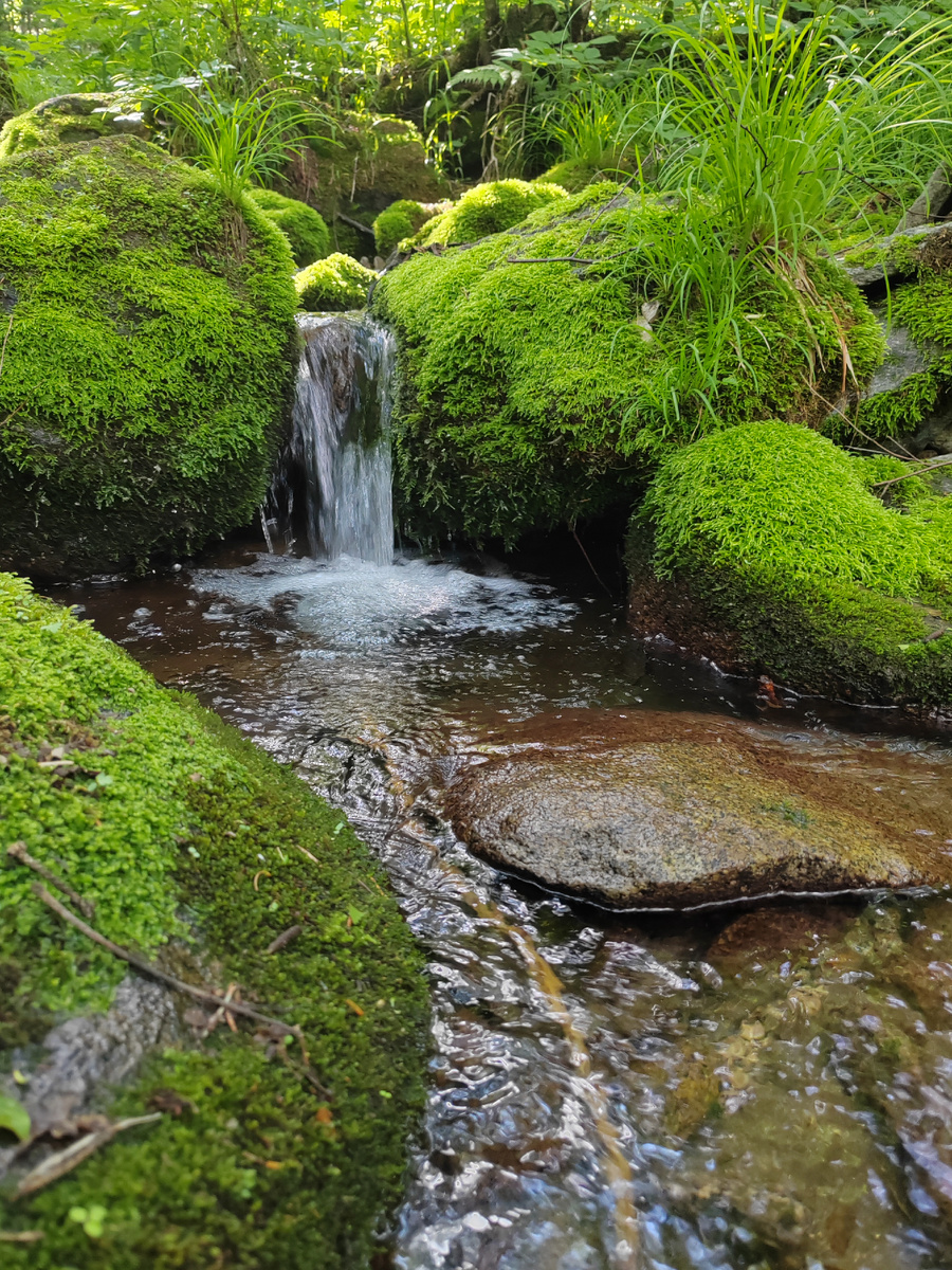 Ручей на Хехцире