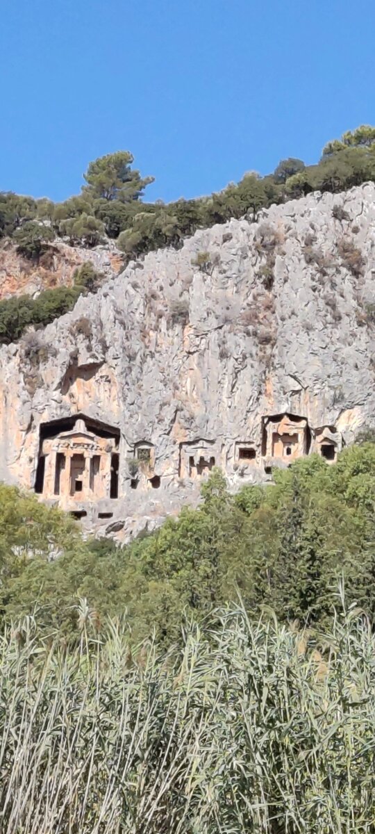 Фото с приближением