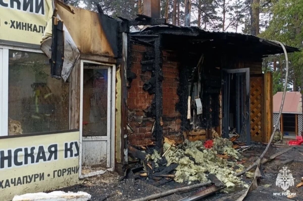    Десяток пожаров потушили в Томской области за прошедшие сутки