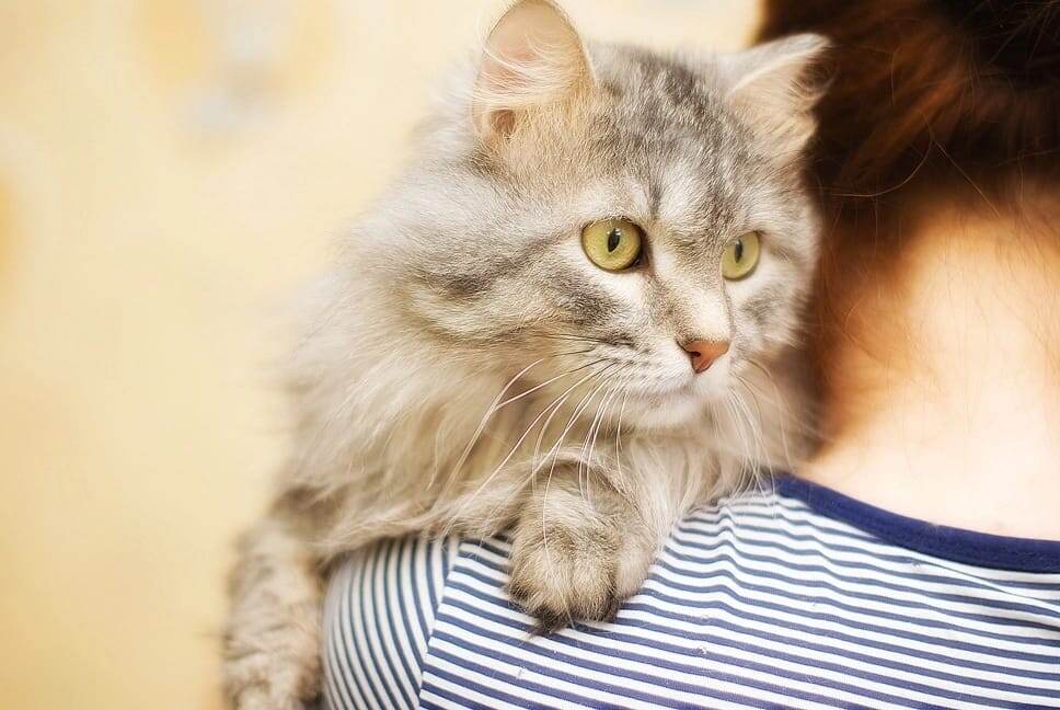 Его первый снимок 