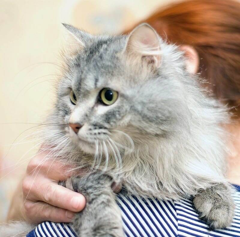 Сене здесь 7 месяцев