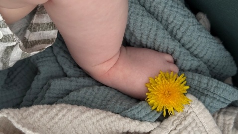 Солнышко для солнышка. Фото Е. Островской.