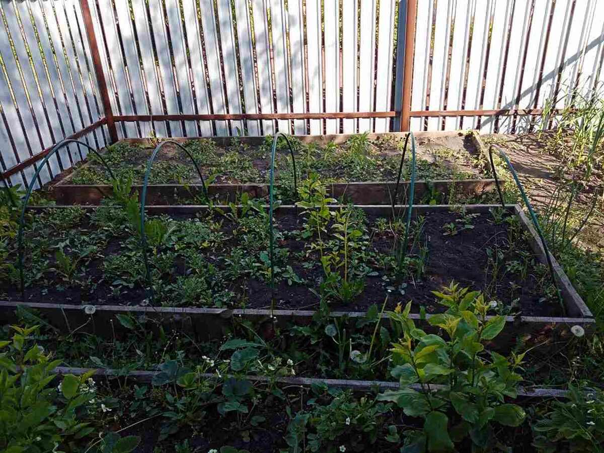    Фото: Пруфы.РФ