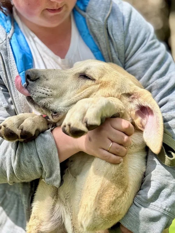 Фотографии с фотосессии, которая была незадолго до уезда Рабикса домой