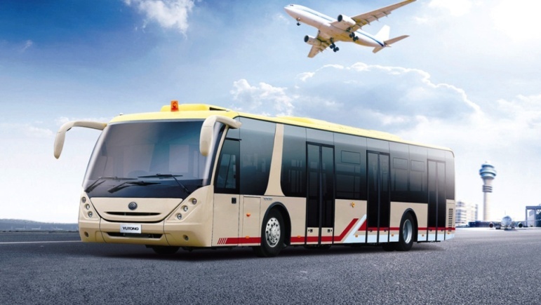 Источник: olivinuc.ru