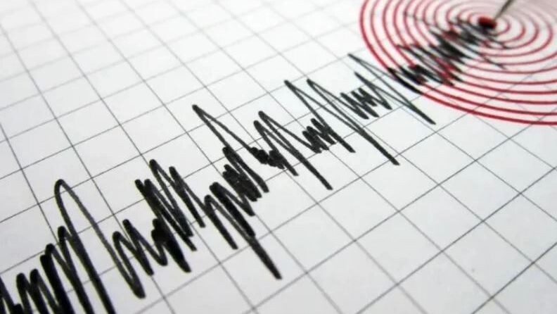    Фото: menur/Shutterstock/Fotodom