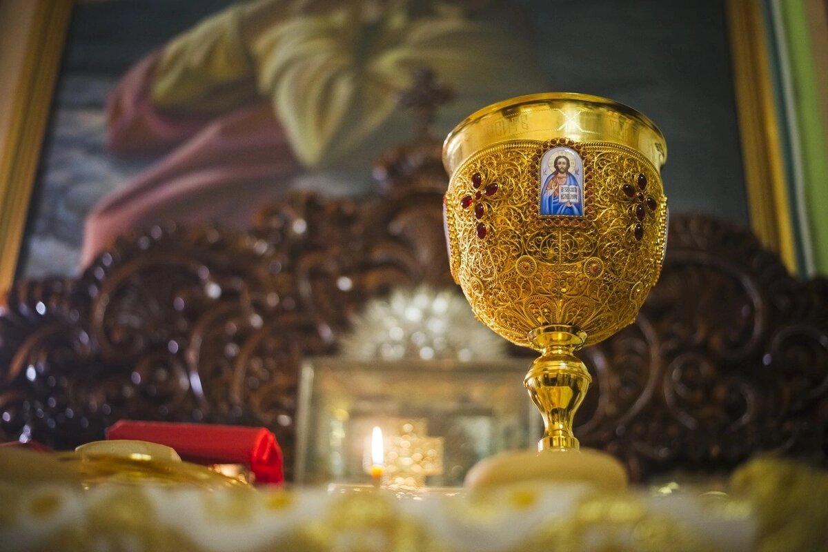 фото взято из открытых источников