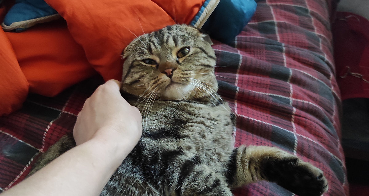 Хорошее настроение)