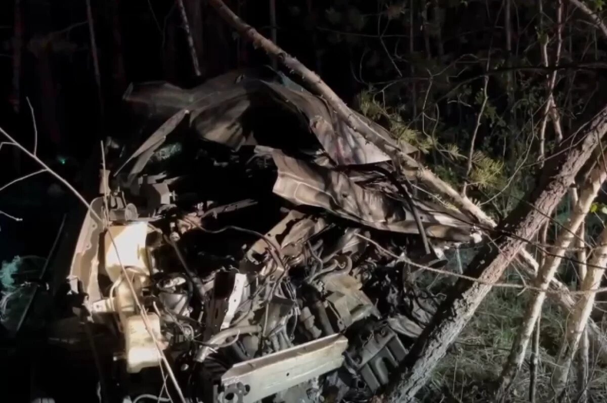    Женщина погибла при столкновении иномарки с деревом под Ангарском