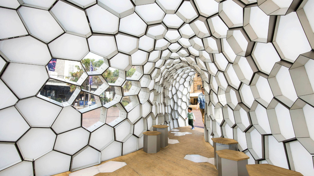    Пчёлы знают математику лучше нас почему их ульи идеальны с точки зрения науки