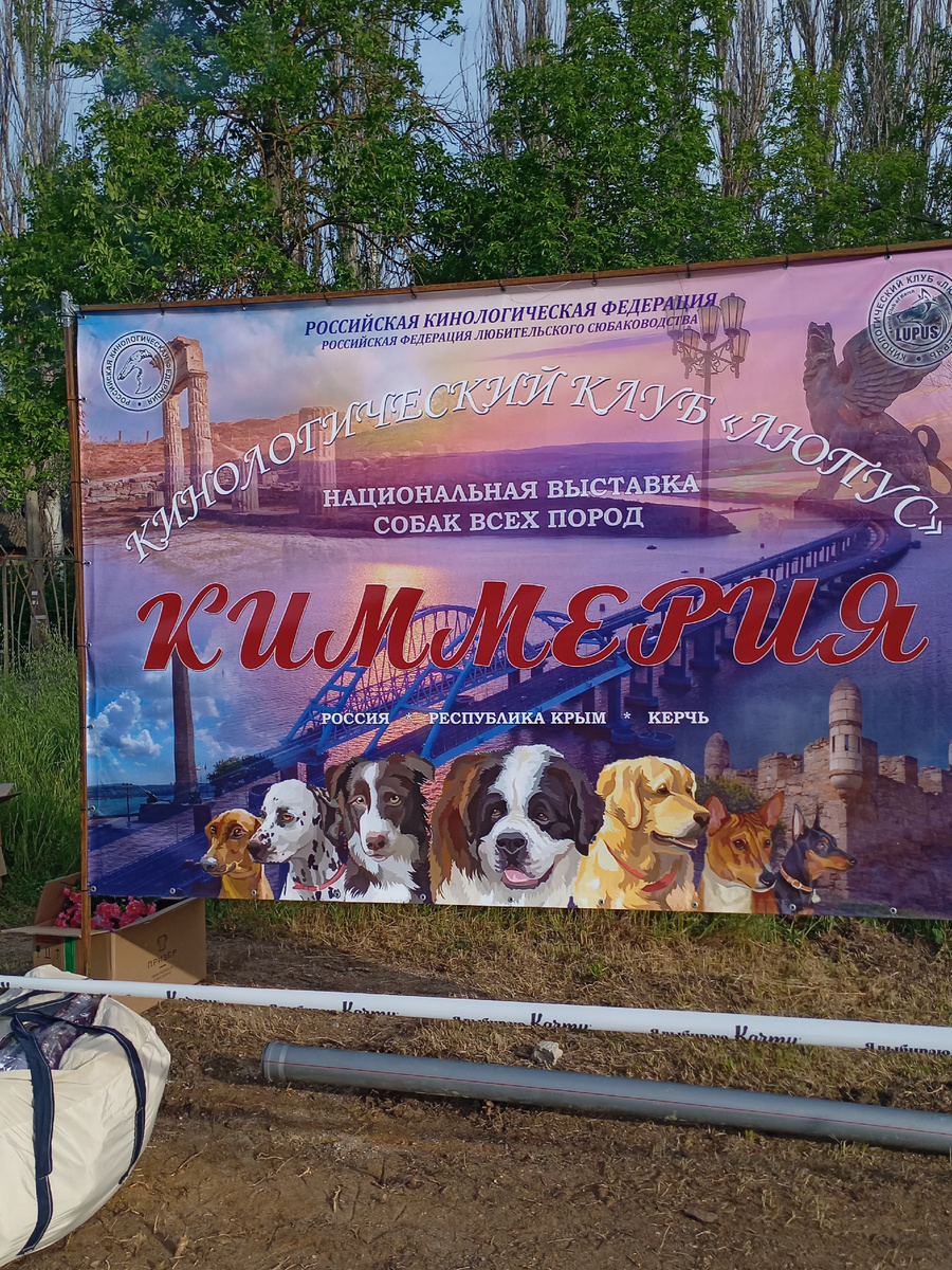 Один единственный баннер.