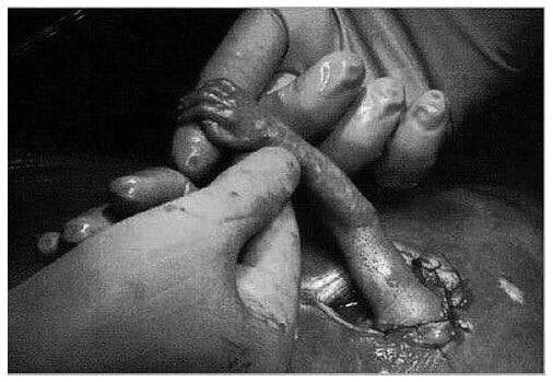 Фотограф Майкл Клэнси, фото с открытого источника