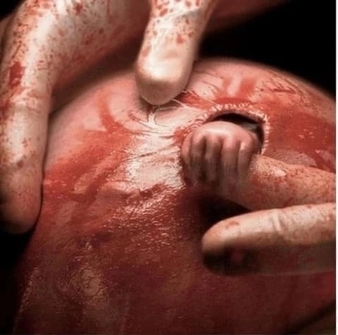 Фотограф Майкл Клэнси, фото с открытого источника