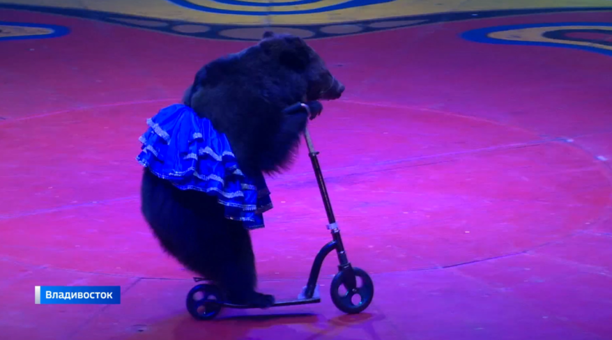    Источник фото: