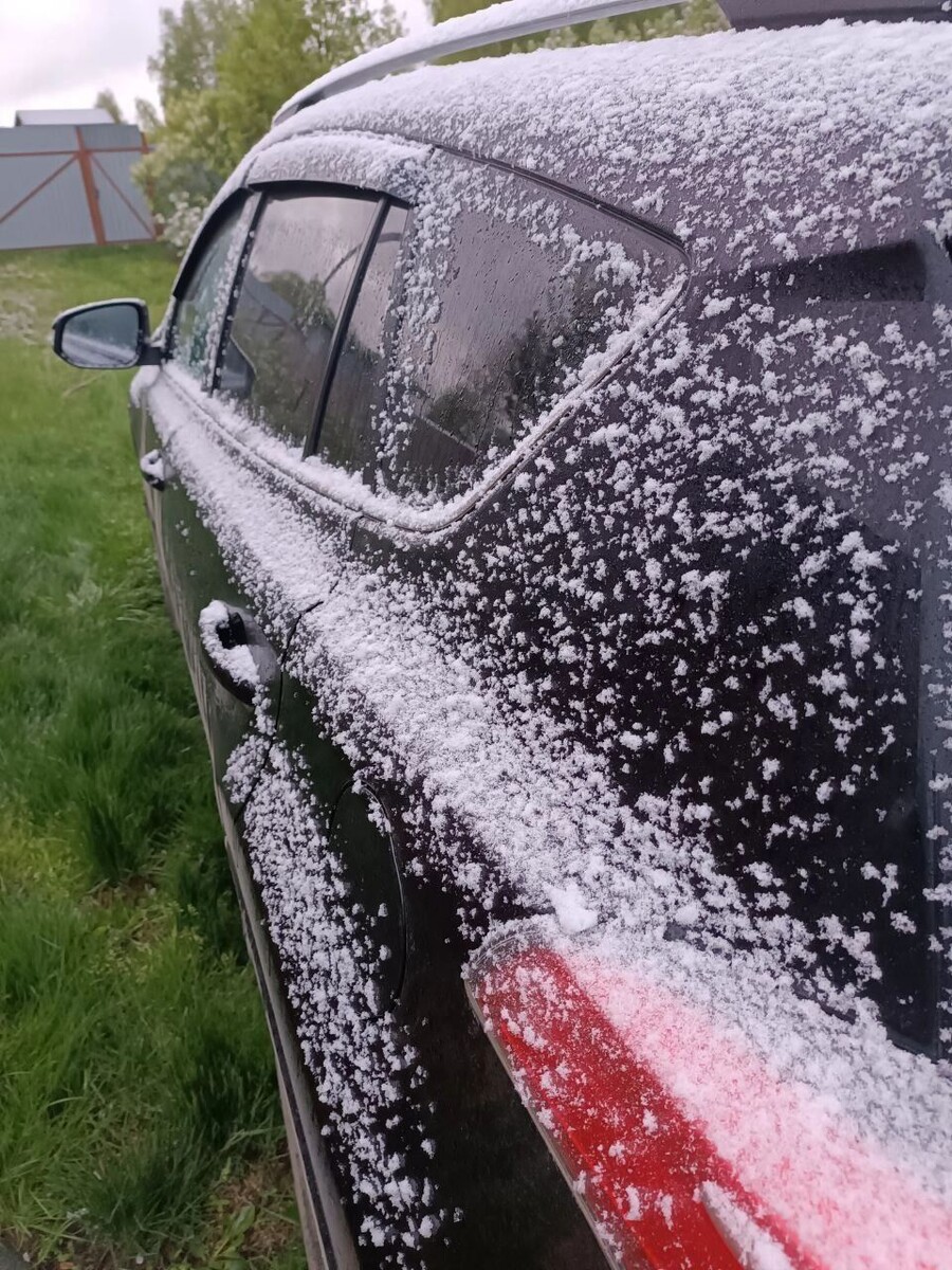     Источник: Грибники Тюменской области