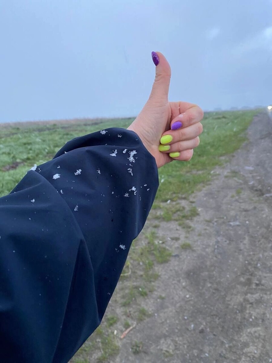     Источник: Грибники Тюменской области