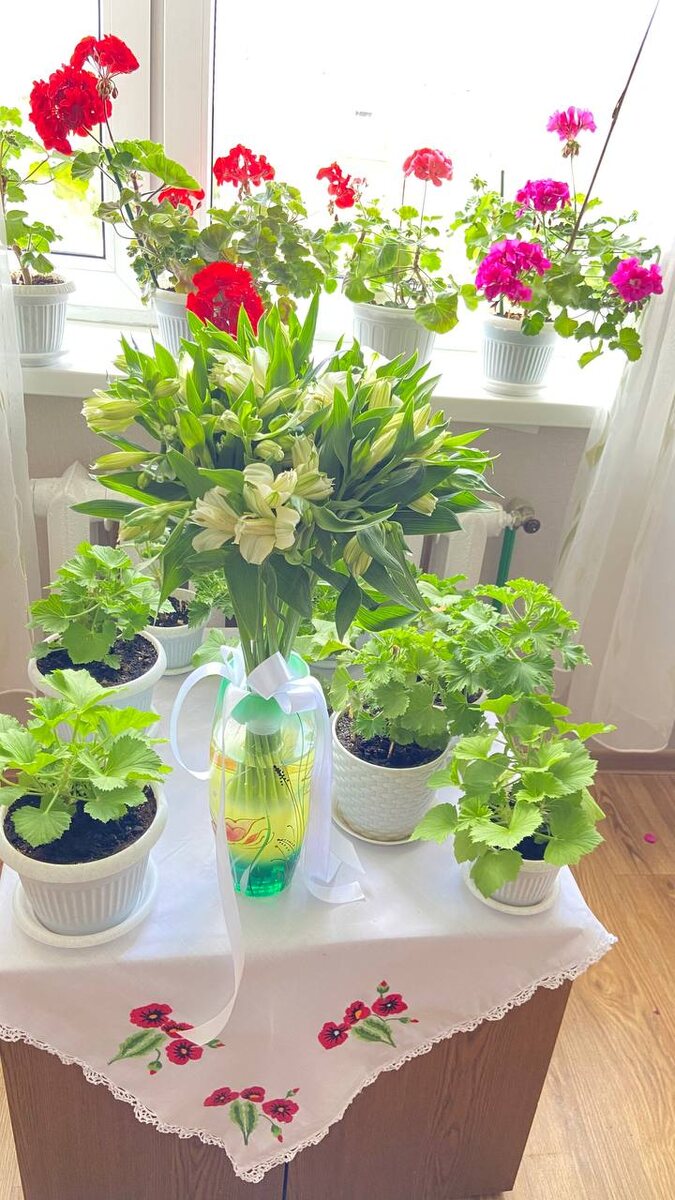           Сюда поставили подарочный букет к моим Гераням, которые с бутонами.