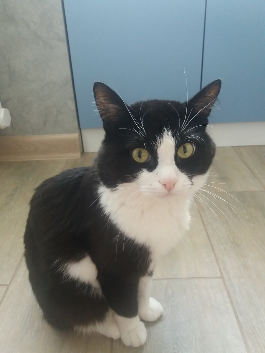 2020 год, Боне 8 лет