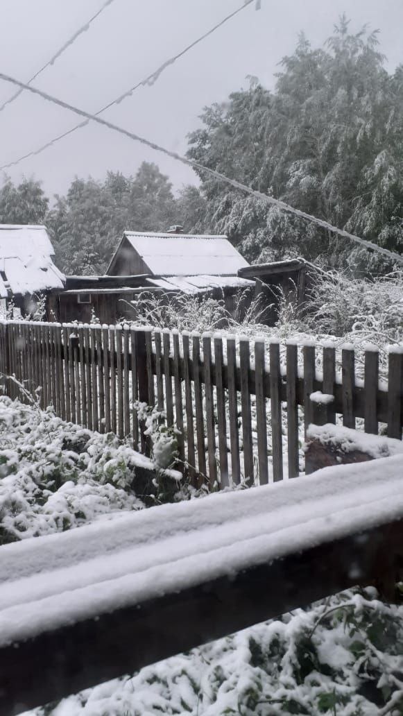 фото автора канала