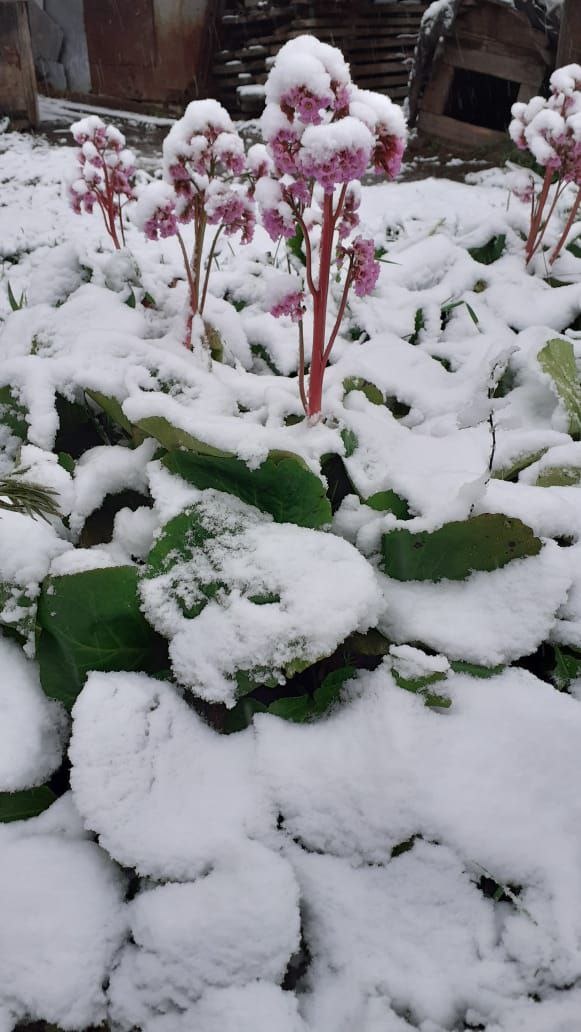 фото автора канала