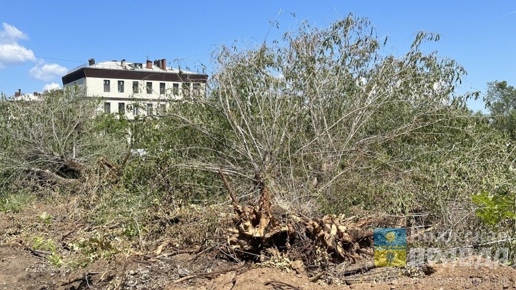     Купольные павильоны и много зелени: в Волжском обустраивают сквер Серебряных волонтёров
