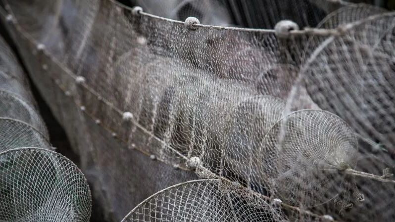    Фото: ZaglFoto/Shutterstock/Fotodom