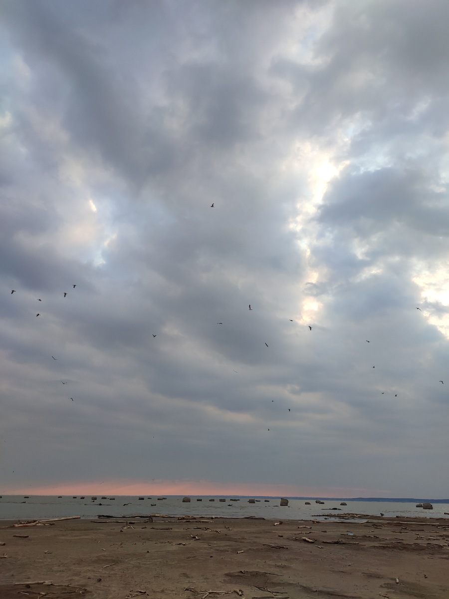 Южная оконечность острова. Одиночные бетонные конструкции. Май 2022г.