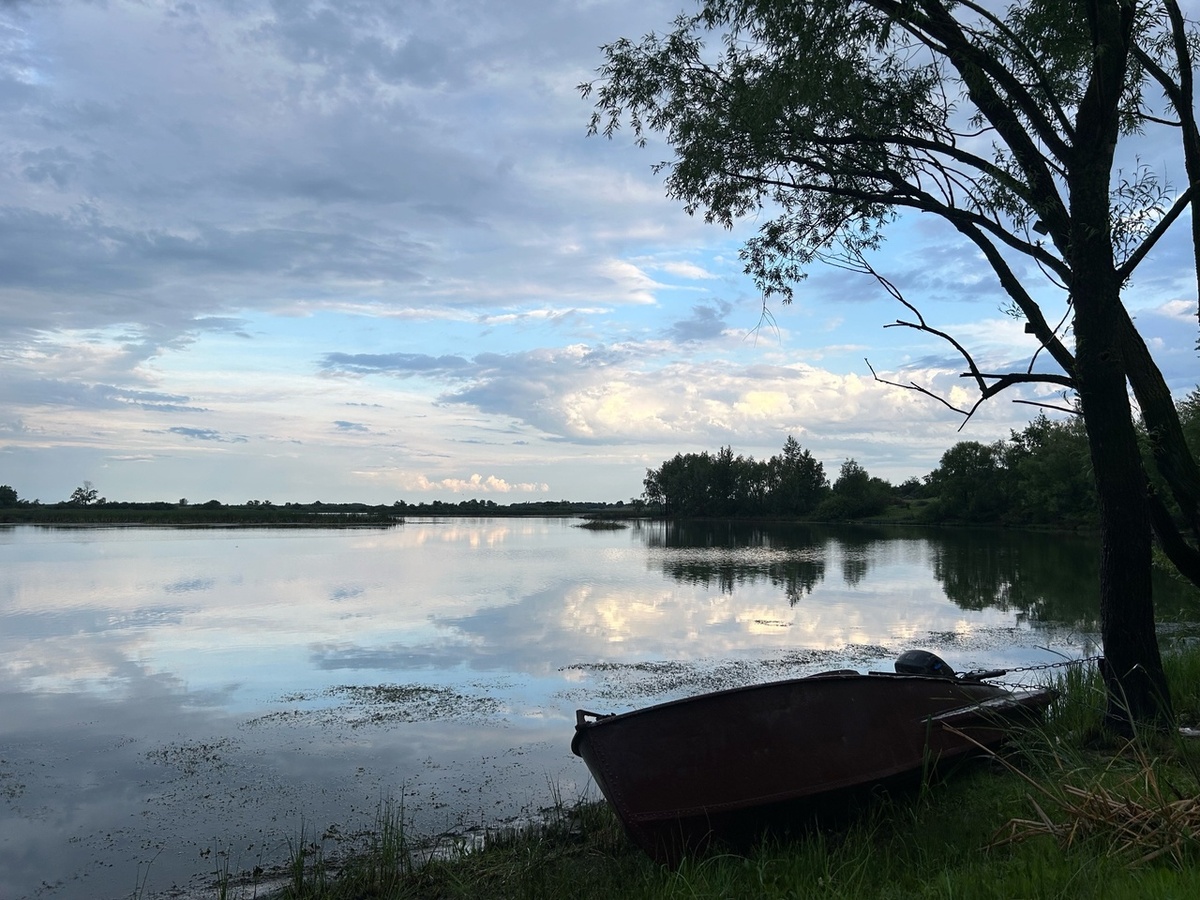    Фото: архив progorod