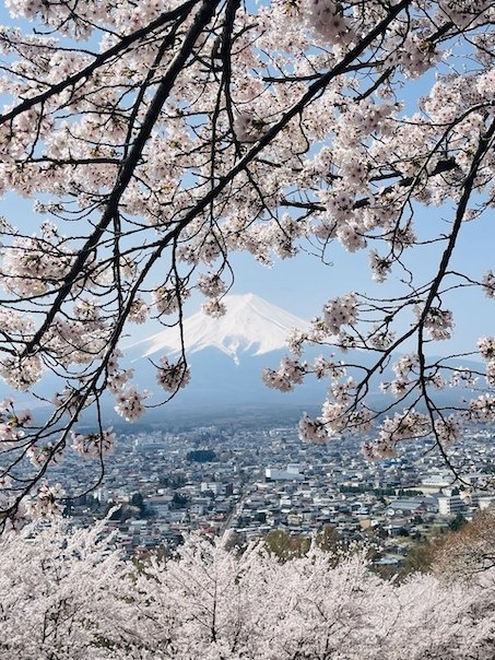 Вид на гору Фудзи