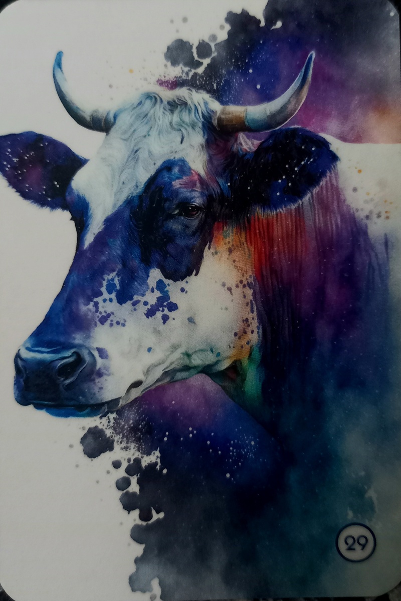 Изображение карты 29. 