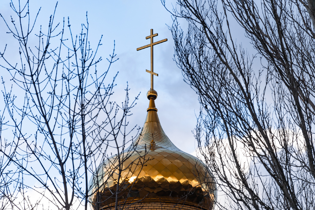 Фото: Globallookpress.com