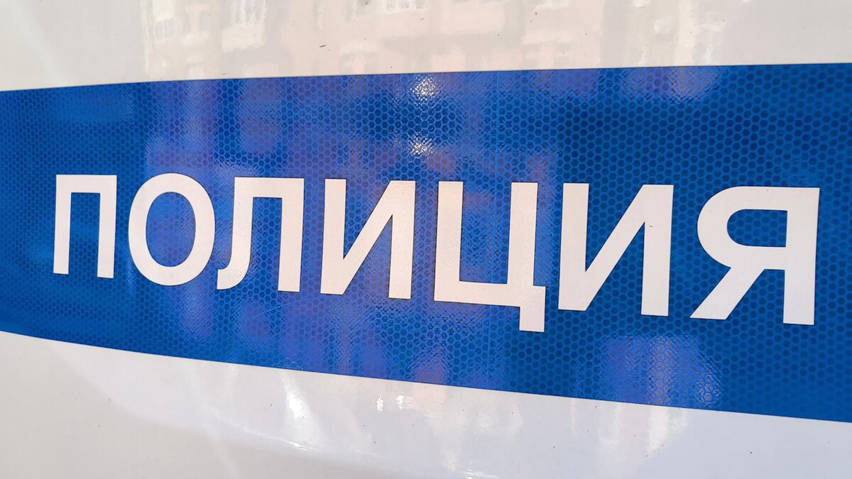    Фото: Maksim Konstantinov/globallookpress.com