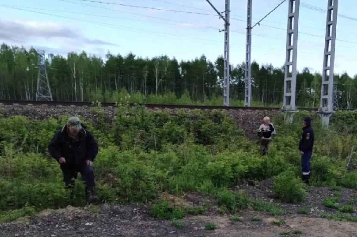    В Хабаровском крае спасатели вытащили из папоротников заблудившуюся женщину