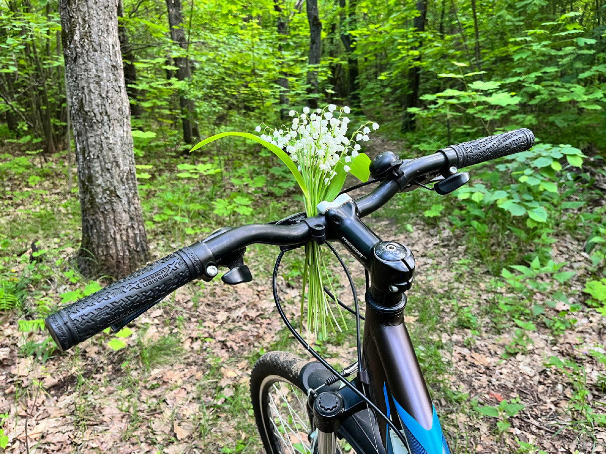 Мой конь, точнее кобылка по кличке Джульетта (Merida Juliet)