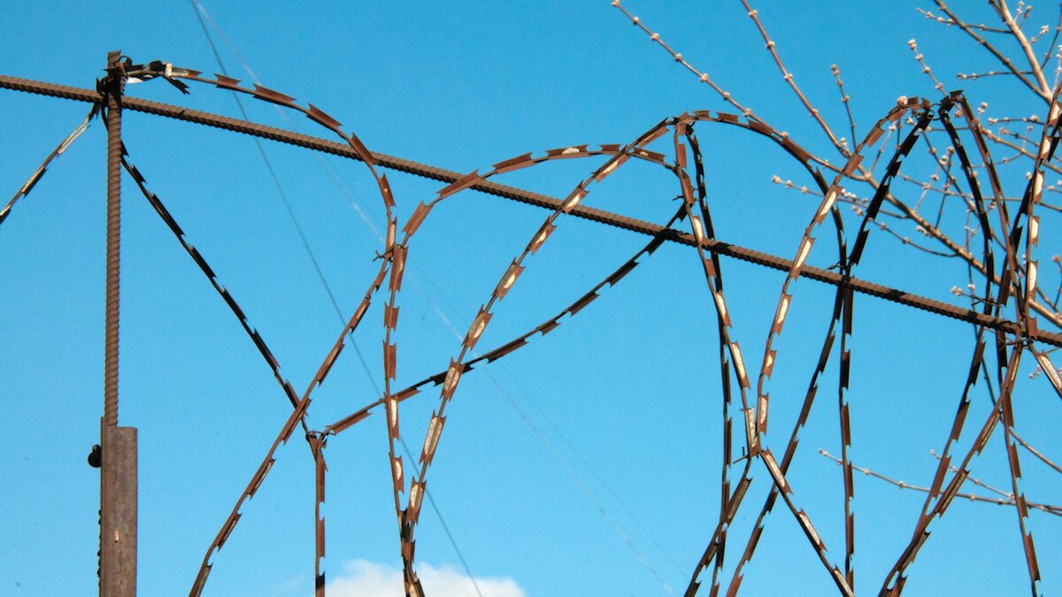    Фото: Svetlana Vozmilova/globallookpress.com