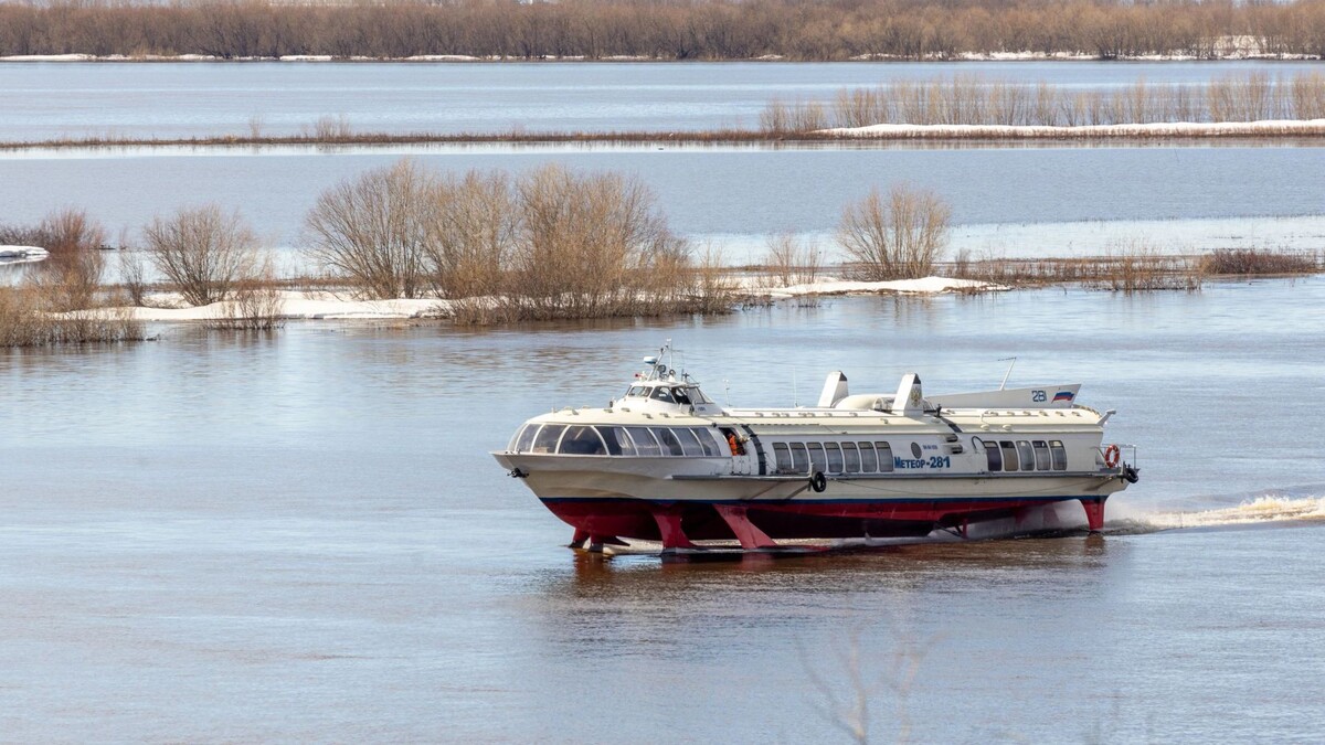    Фото: Федор Воронов/«Ямал-Медиа»