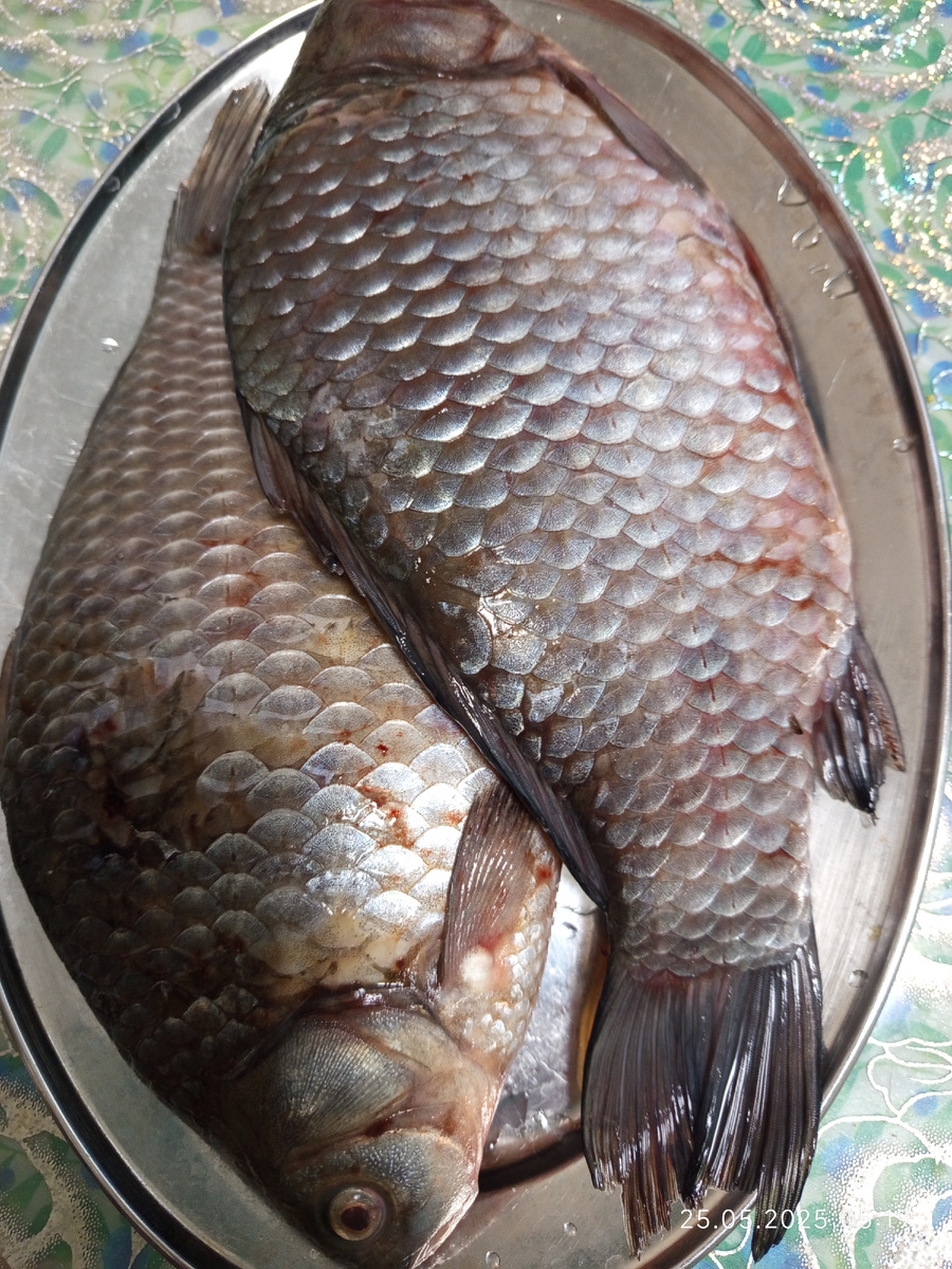Красавцы карасики