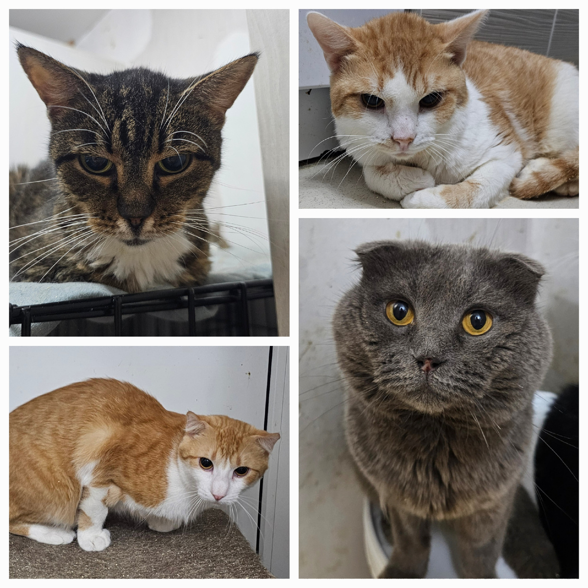 Фото автора. Заболевшие ребята фип.