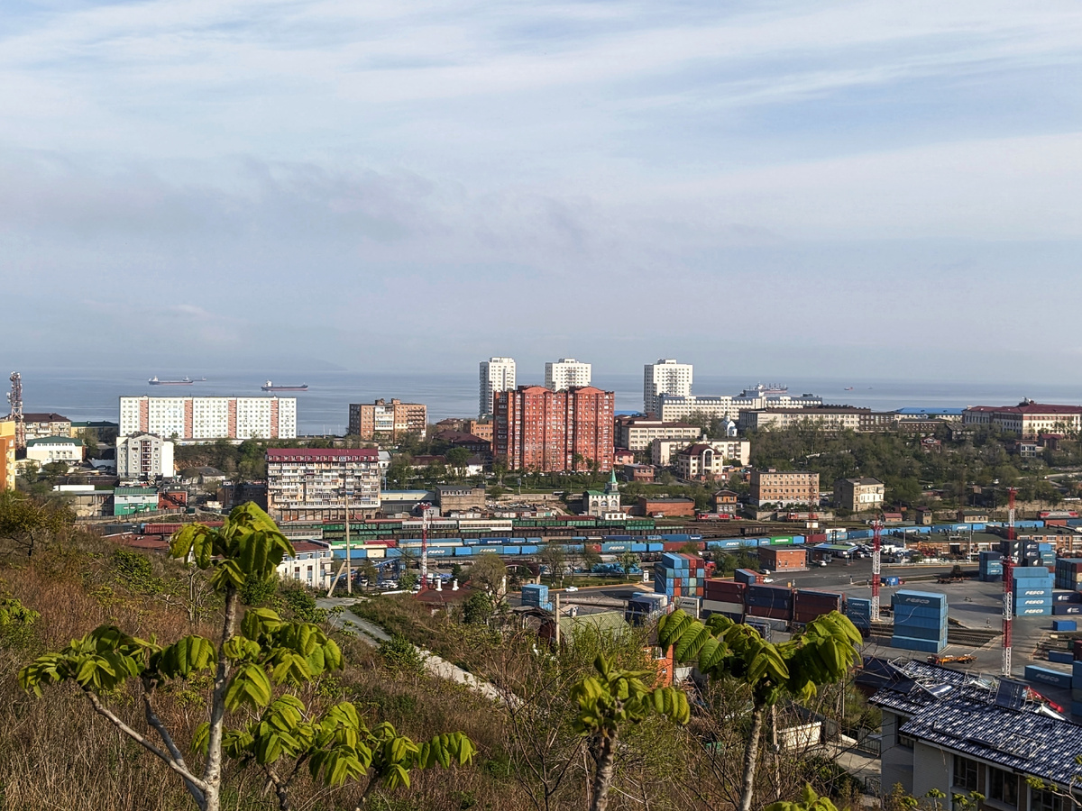 Иду к орехам в поисках фиалки собачьей. 