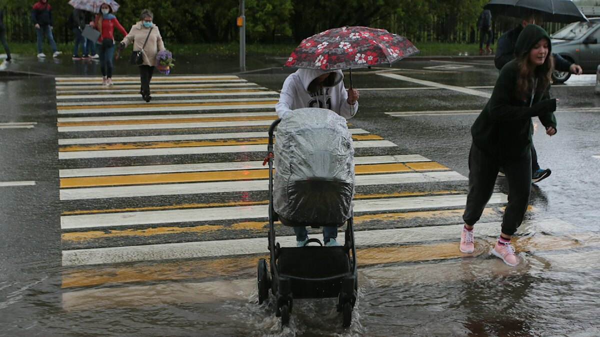    Фото: Roman Denisov, Роман Денисов/globallookpress.com