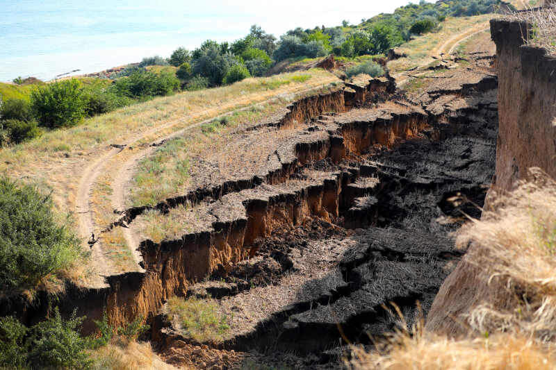    Фото: Nina Liashonok/Globallookpress